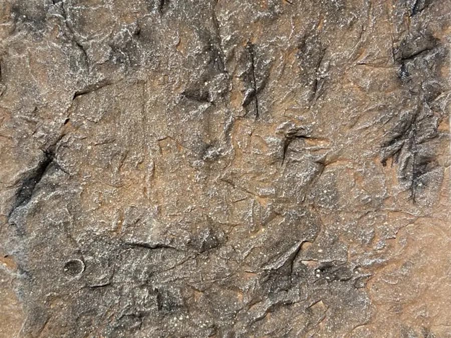 Designbeton-Muster Leichter Felsen (braun)